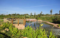 Zoo de Rabat