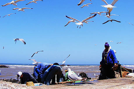 Ville marocaine, Essaouira